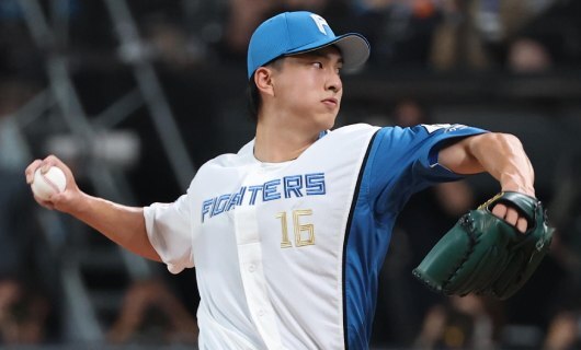 北海道日本ハムファイターズ 16 達孝太 両面等身大タペストリー jambalaya_22bbm1st-289
