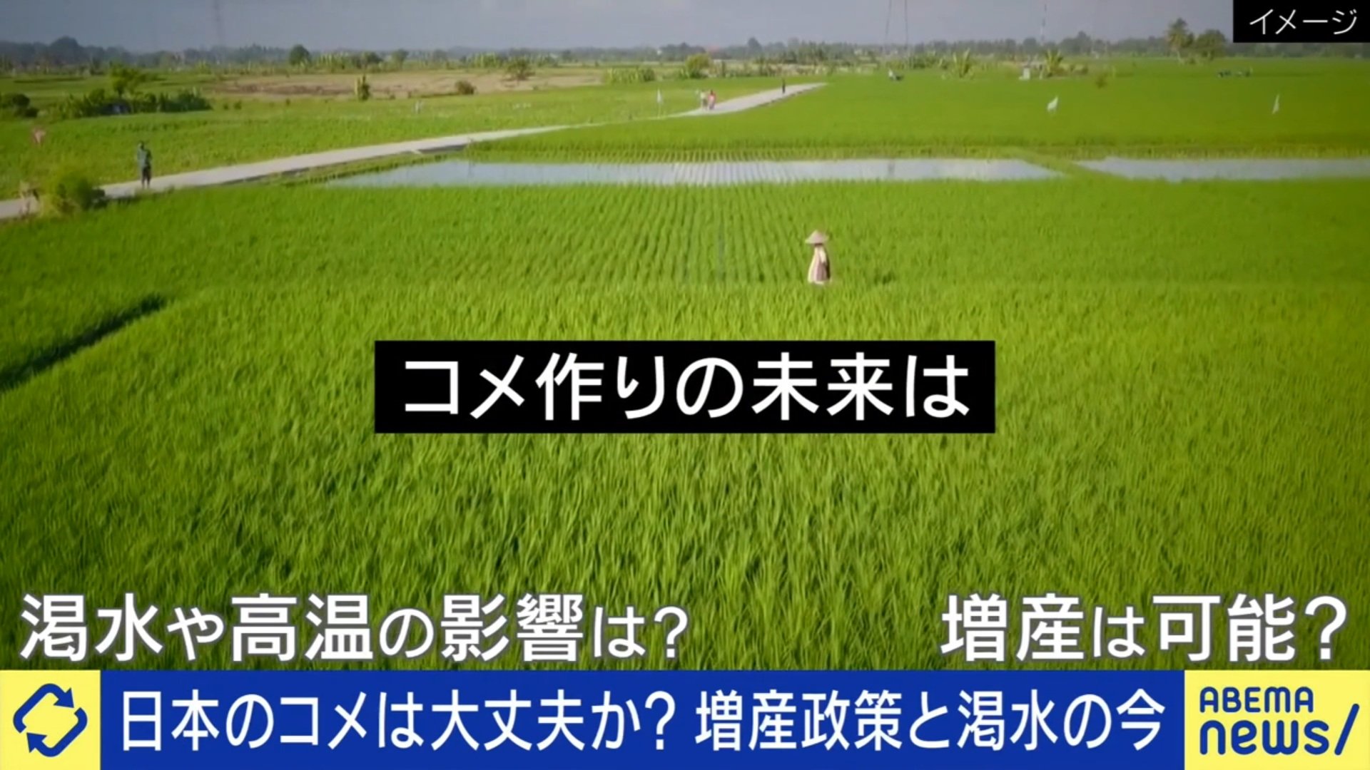 日本の広大な水田風景と、今後のコメ作りを象徴するイメージ