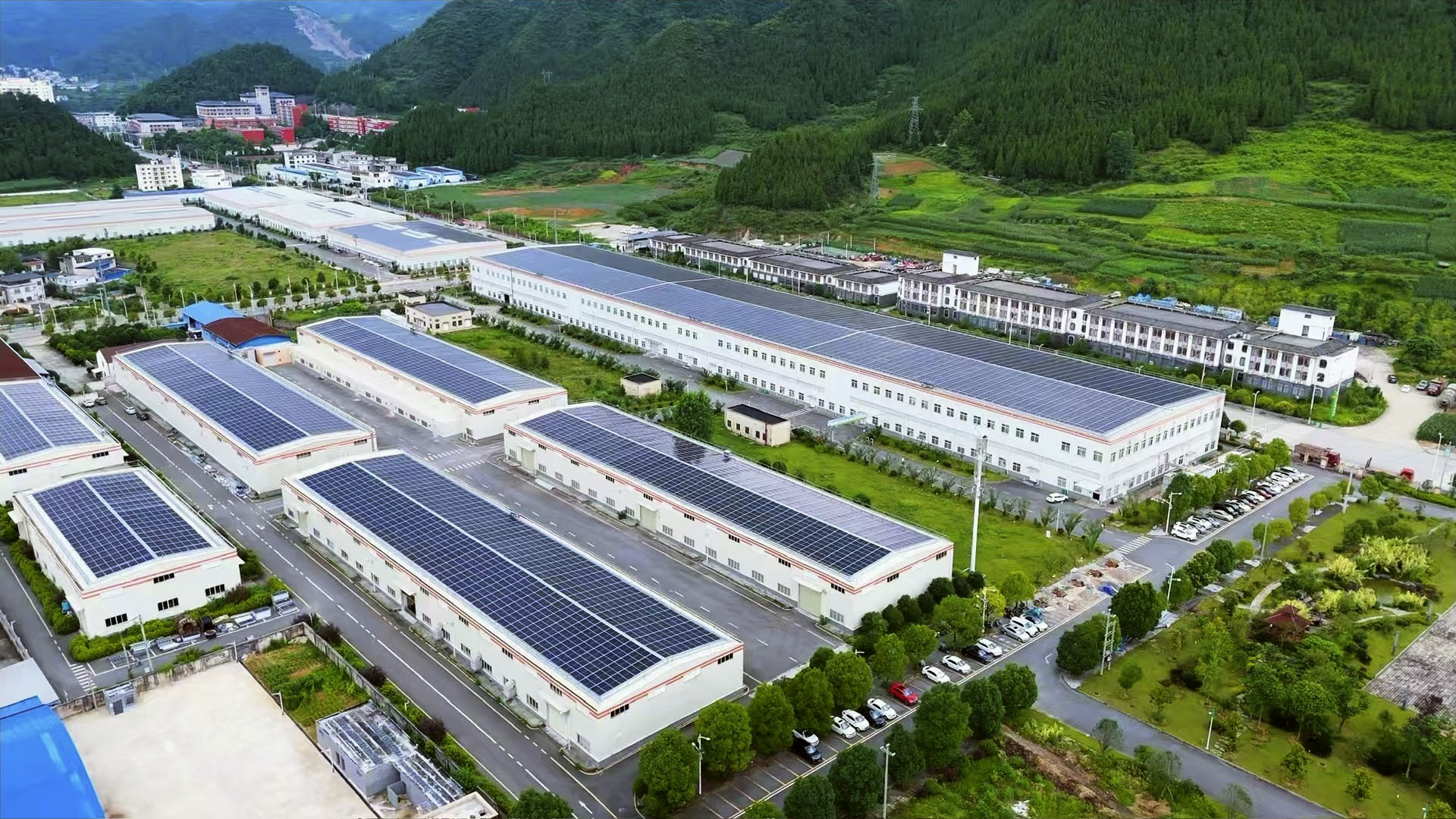 中国、世界の一大抹茶供給源に 内陸部、日本茶人気で生産拡大（共同通信） – Yahoo!ニュース - 経済 朝礼スピーチ素材