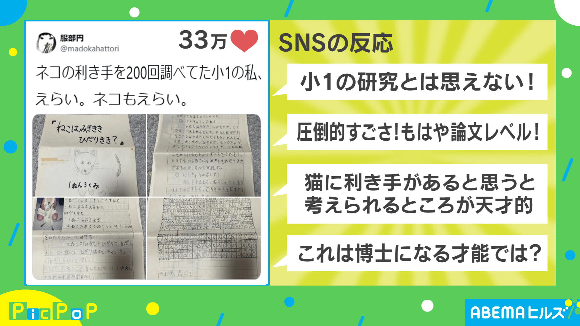 猫の利き手研究がSNSで話題になり、「論文レベル」と評される様子