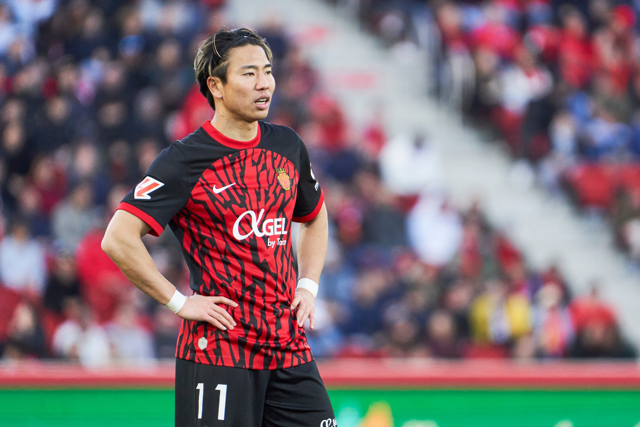 浅野拓磨 MF/FW 浅野 拓磨(ASANO Takuma) | SAMURAI BLUE | 日本代表 | JFA.jp