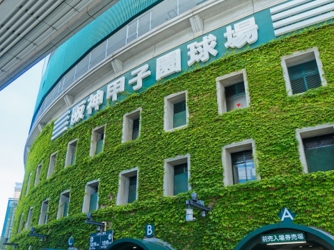 夏の甲子園、真夏の太陽が照りつける阪神甲子園球場の全景。高校野球の「聖地」としての輝かしいイメージを表す。