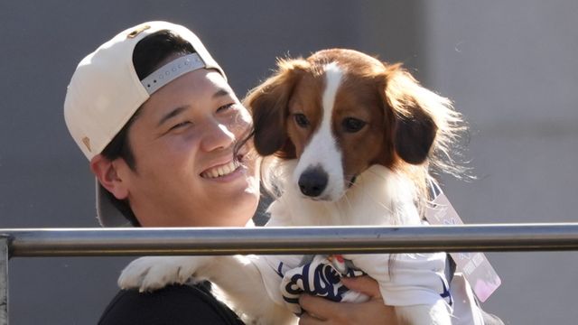 見下ろすデコピン かわえぇ‥」大谷翔平が40号直後に愛犬を公開