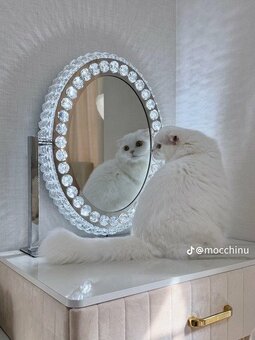 圧倒的お姫さま感】完全にプリンセス？！あまりにも美しい純白の