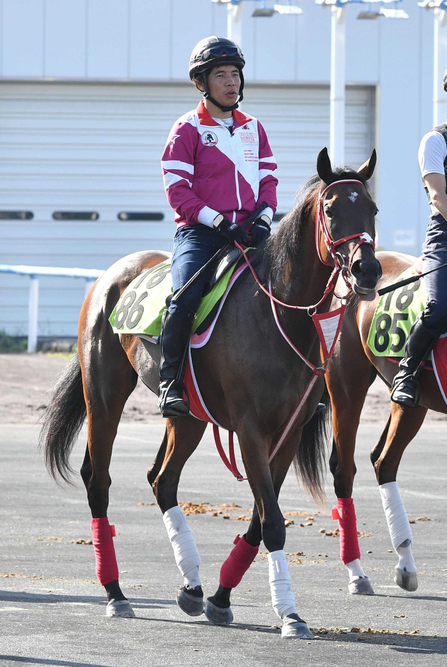 激レア　競馬　ブルゾン　矢作厩舎　コントレイル 新馬戦】ジーティーメティオ 矢作厩舎からコントレイル産駒
