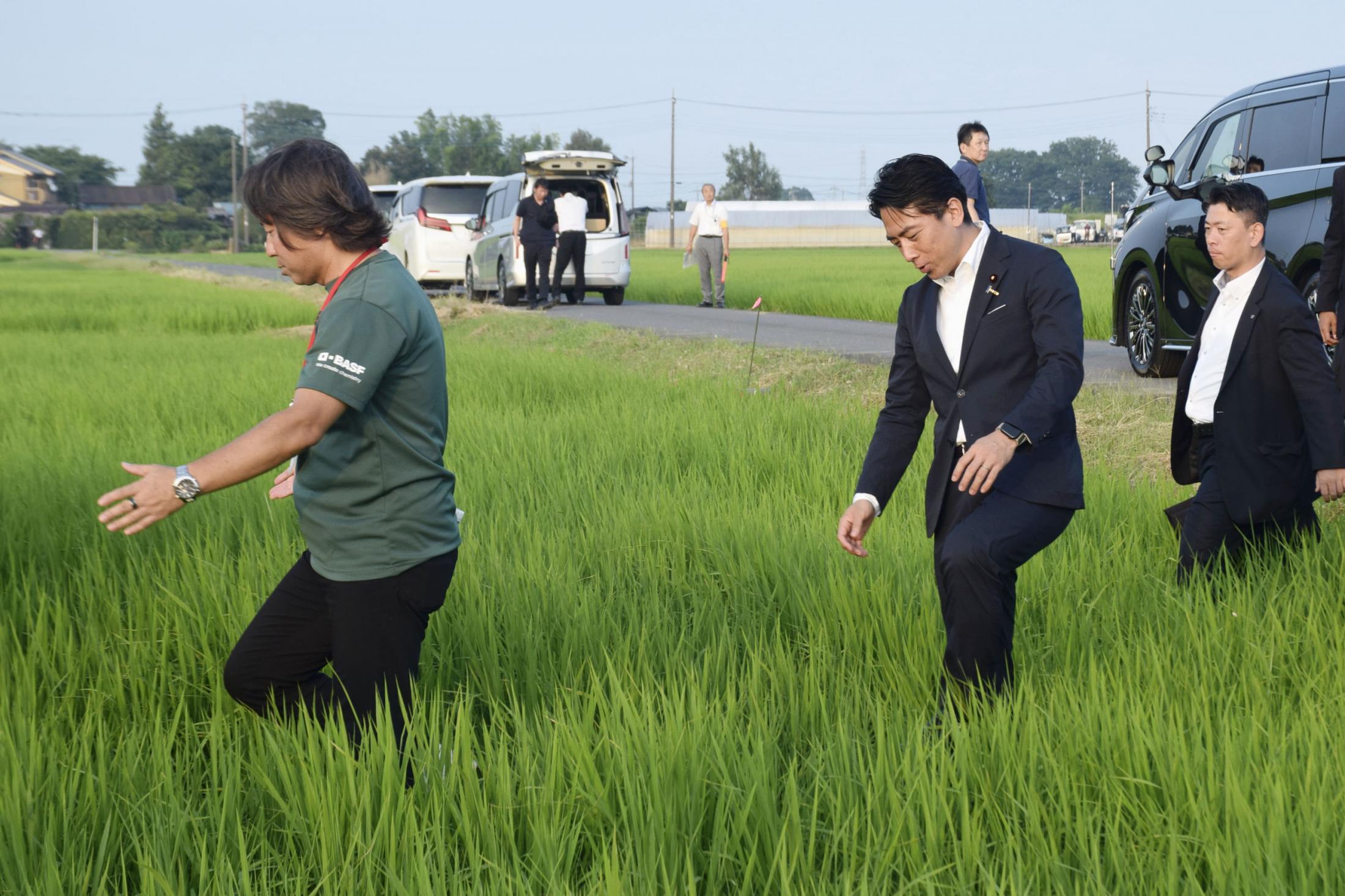 乾いた田んぼで乾田直播の状況を視察する小泉農林水産大臣。埼玉県杉戸町にて。