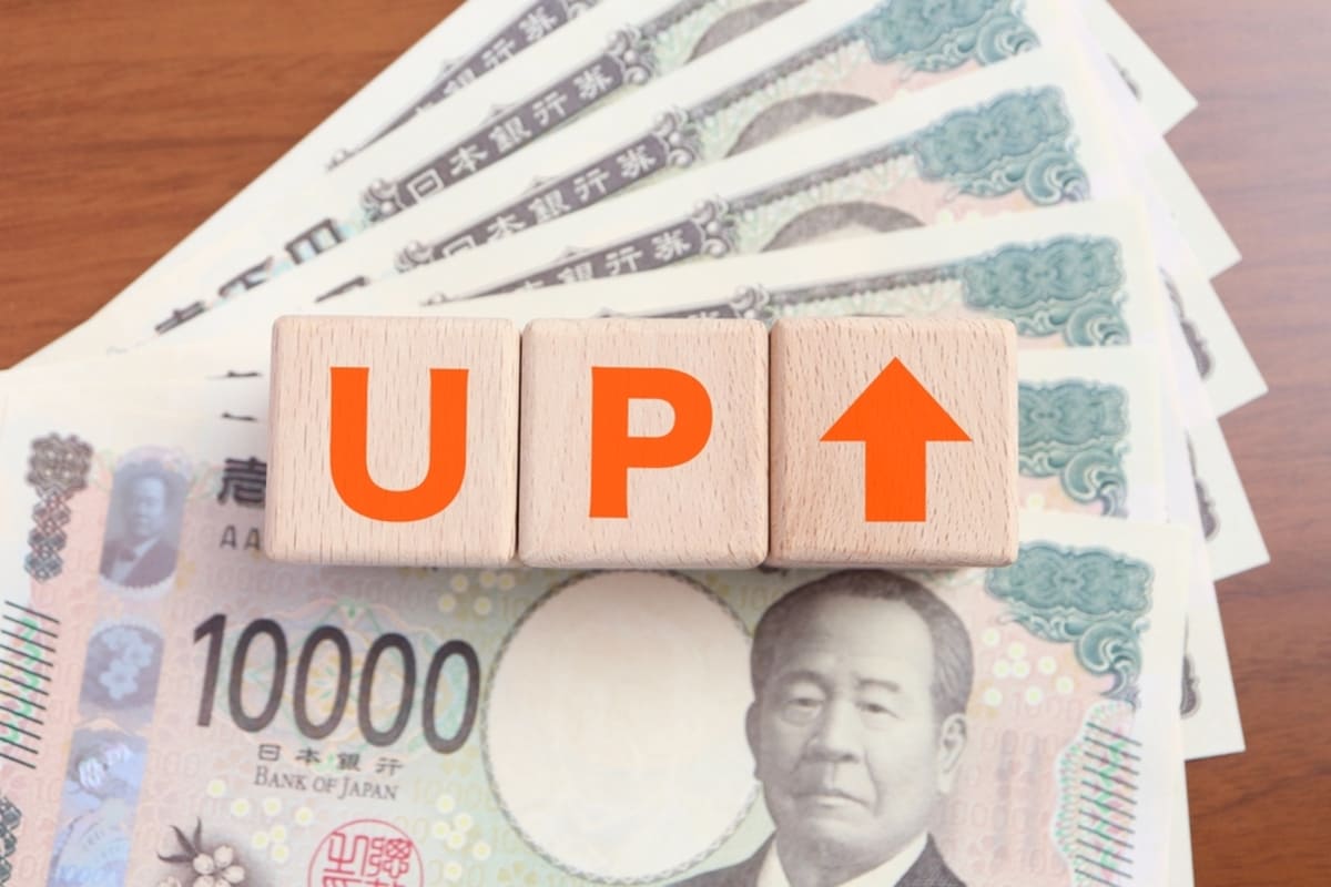 日本の国家公務員の給与体系に関する資料を調べる専門家の様子
