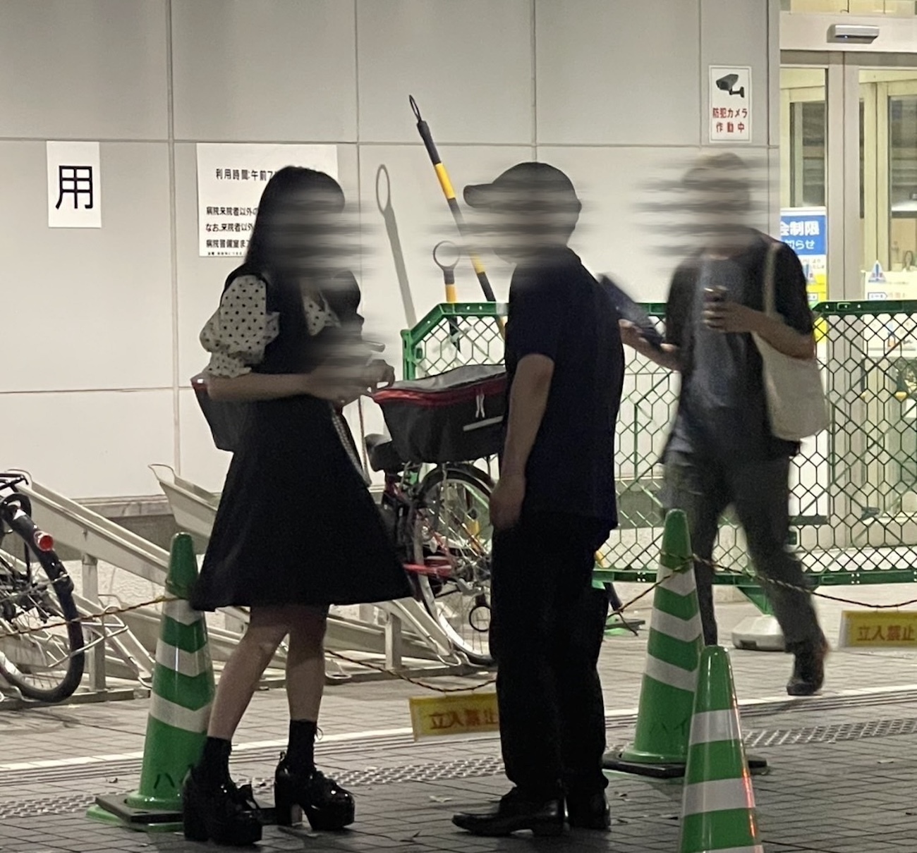新宿大久保公園で男性が女性に声をかける様子。立ちんぼと交渉する現実的な光景を捉えた写真。