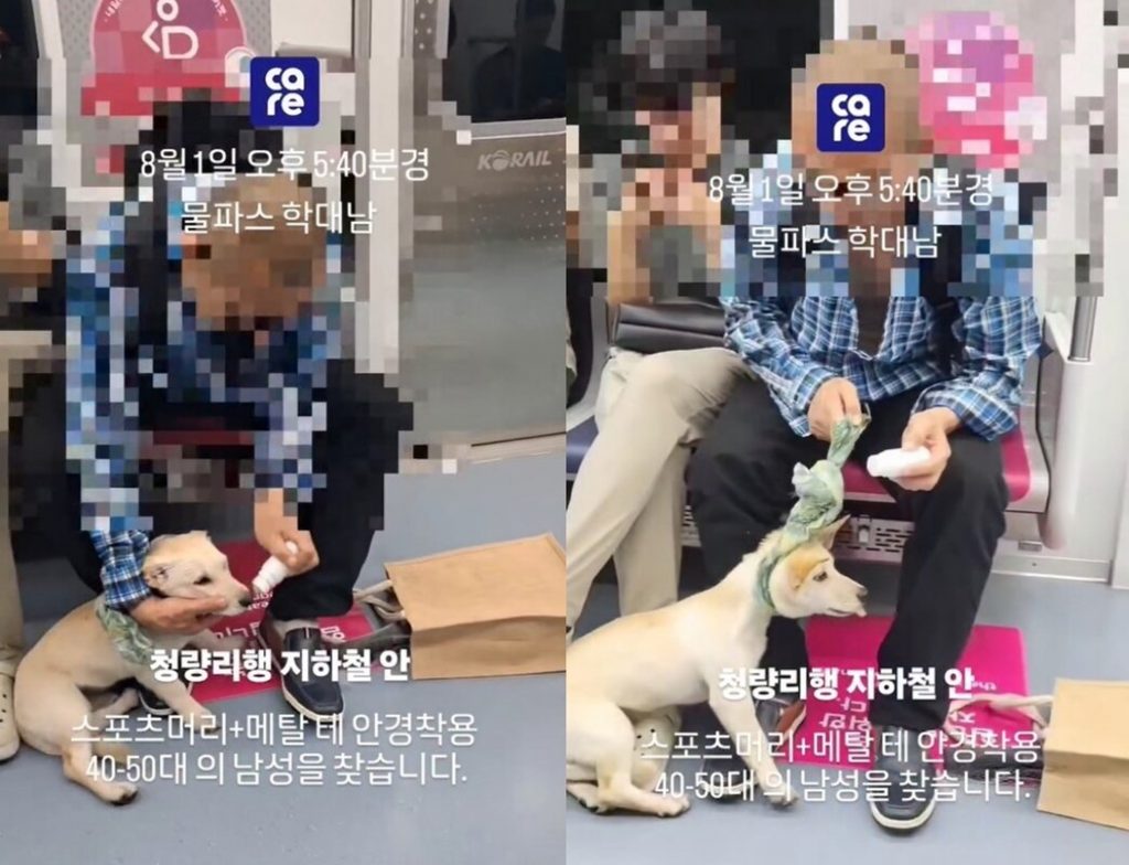 ソウルの地下鉄車内で、男性が犬の顔に何らかの液体を塗布している様子。犬は抵抗しているように見える。