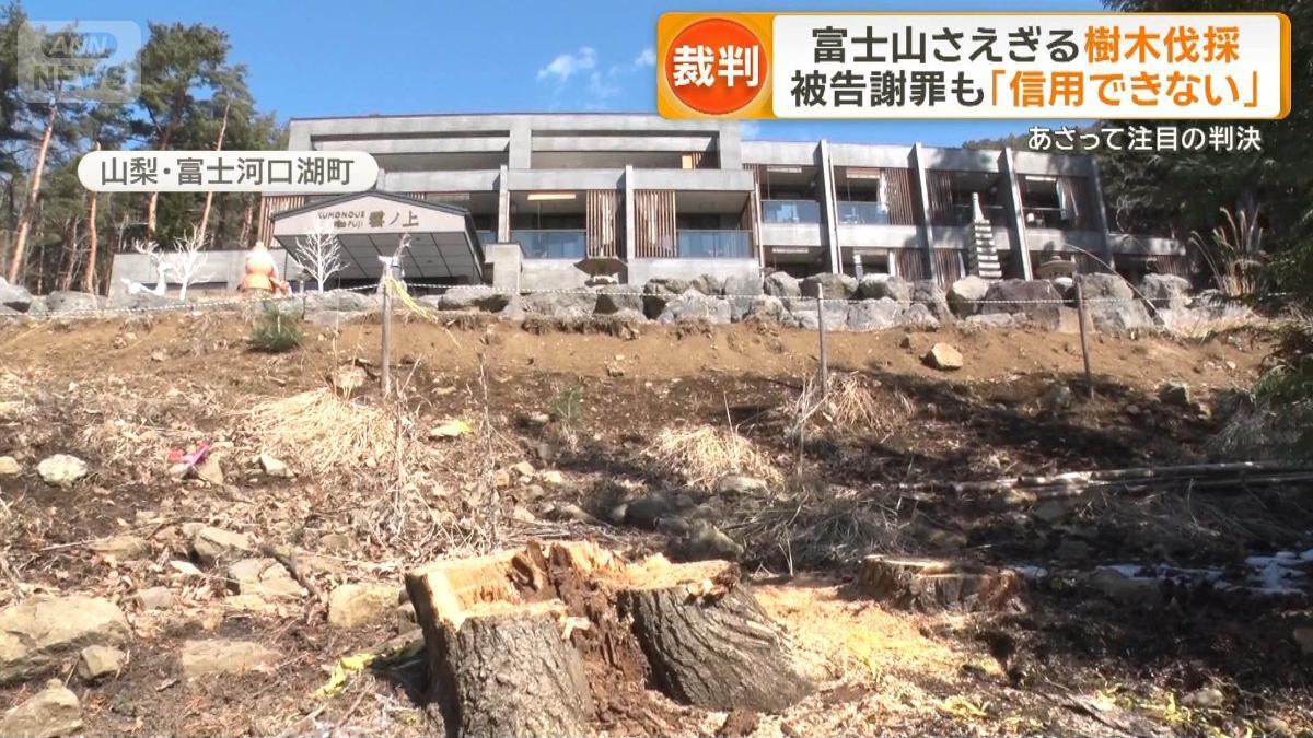 富士山への眺望を確保するため伐採された樹木と、その奥に見える河口湖畔の「雲ノ上富士ホテル」。