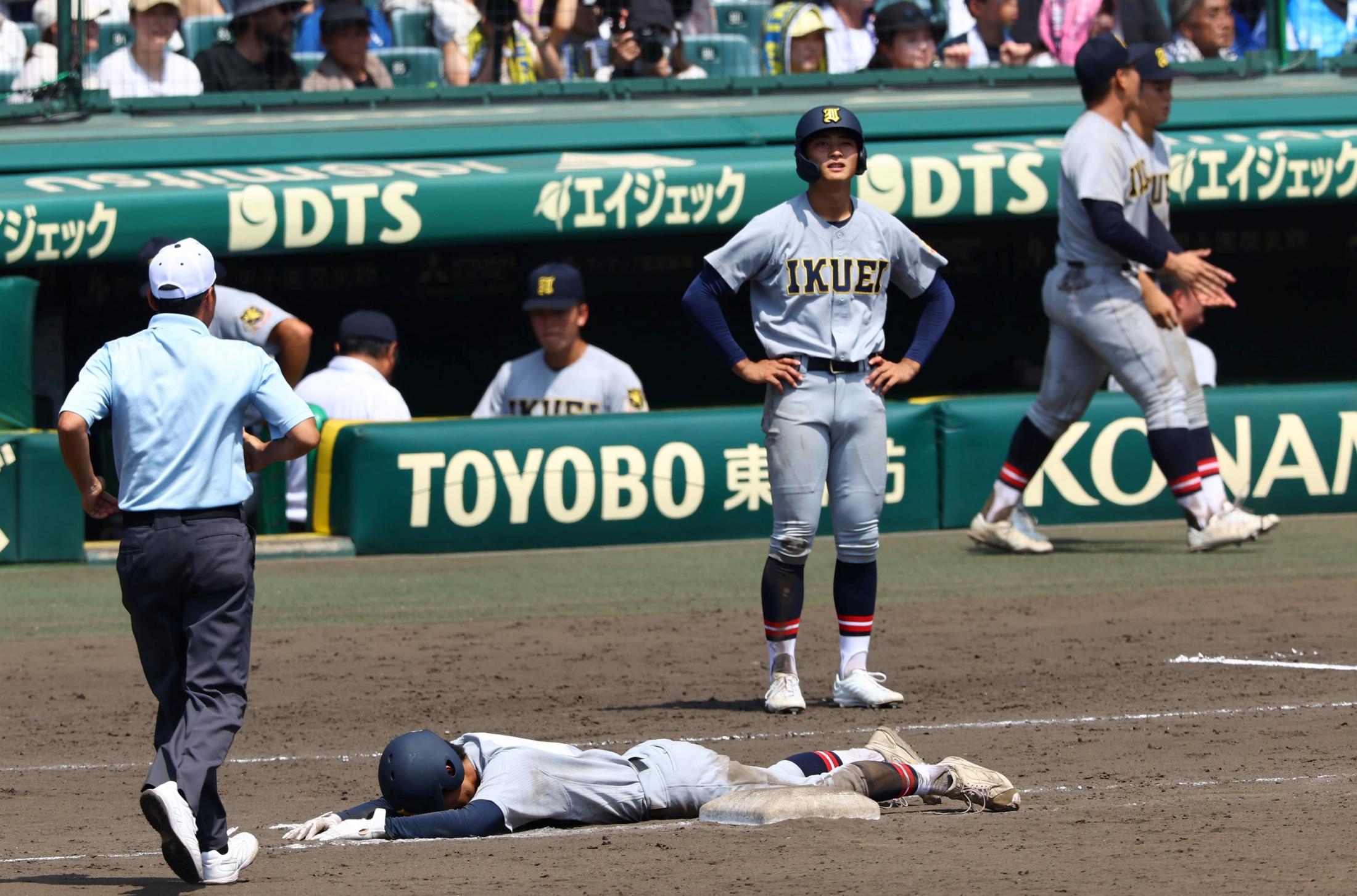 仙台育英硬式野球部 甲子園出場記念絵皿 2025年最新】甲子園出場記念皿の人気アイテム - メルカリ