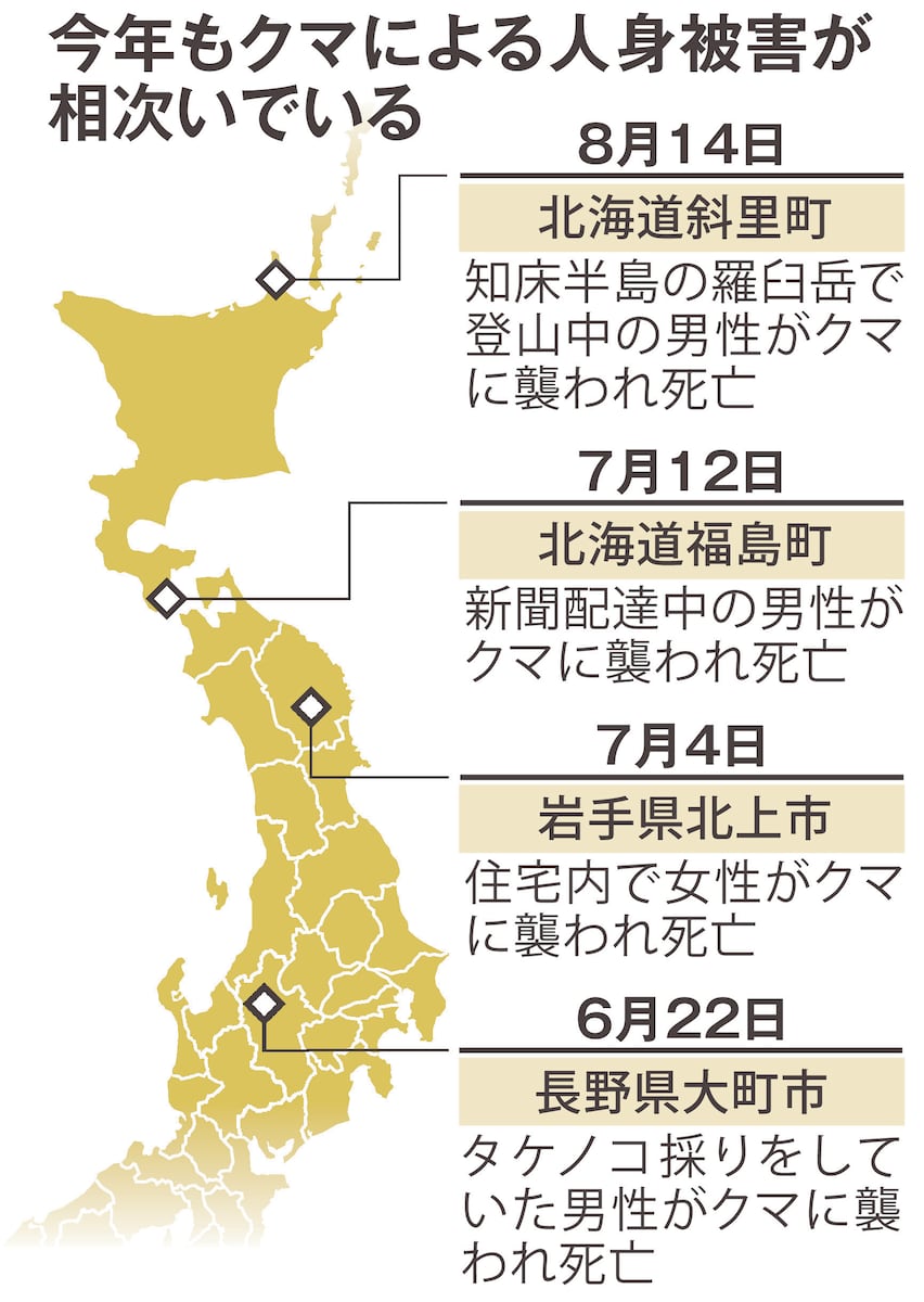 人里に出没し、警戒されるクマ。全国各地でクマによる人身被害が増加している現状を示す写真。