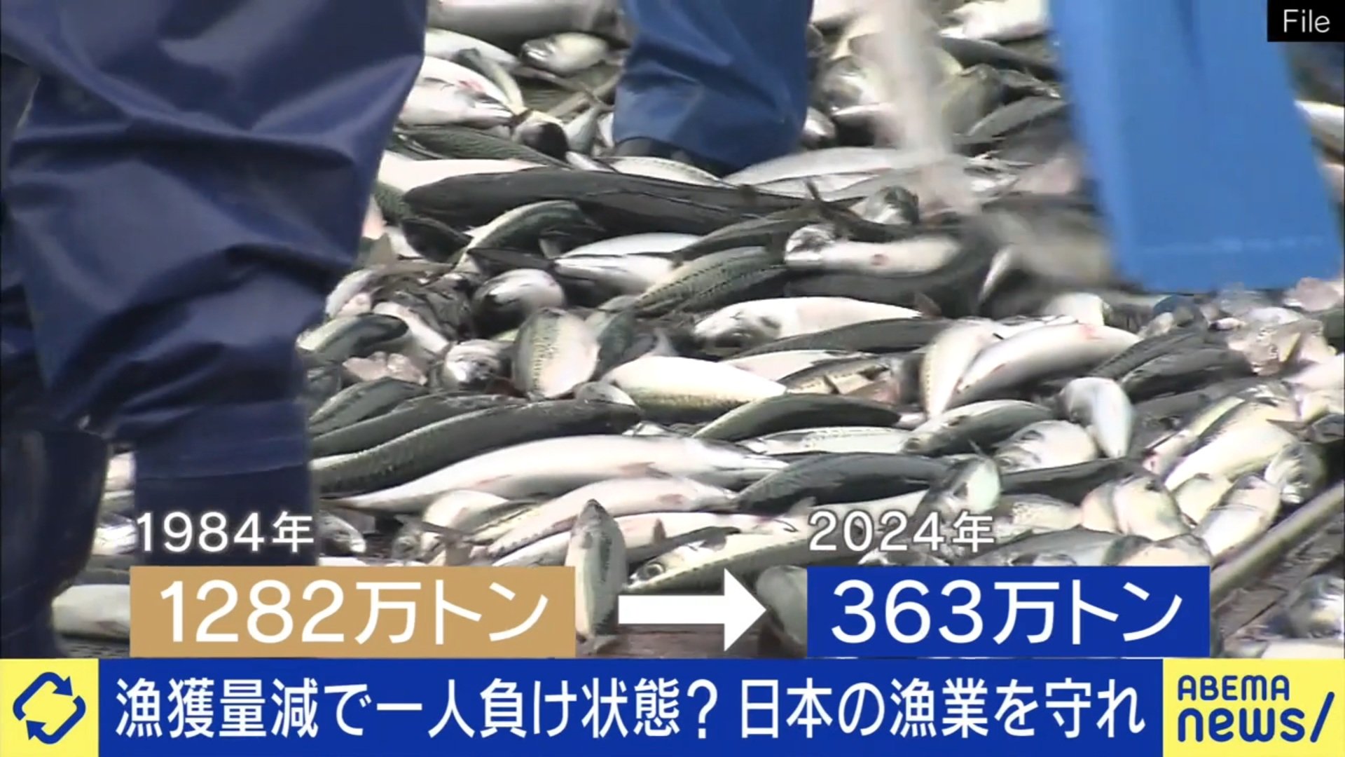 25年後、日本に魚がいなくなる？国内漁業の危機的状況に専門家が警鐘「資源管理ができてない」「補助金で休んでもらった方が漁業は復活する」40年間で漁獲量は1/3に激減（ABEMA TIMES） – Yahoo!ニュース - science 朝礼スピーチ素材