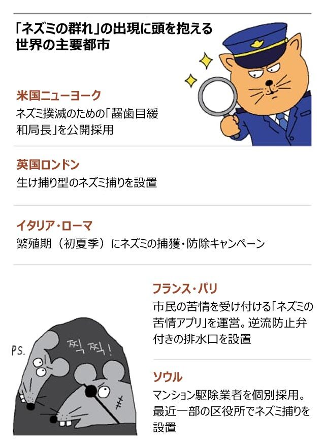 ソウル都市部のネズミ問題を示すグラフィック。ネズミの活動、生息状況、老朽化した下水管路の現状が視覚的に表現されており、ソウルの公衆衛生上の課題を解説する。
