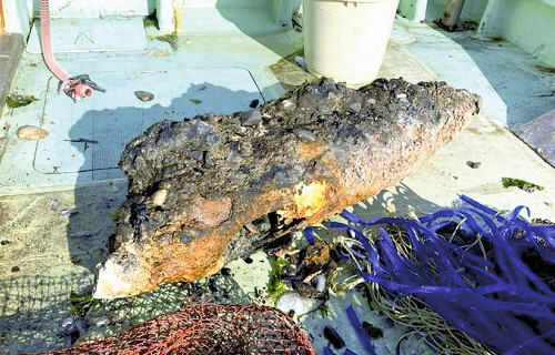 直島・柏島南沖に砲弾か、底引き網に円筒形の物体…海上自衛隊が処分検討