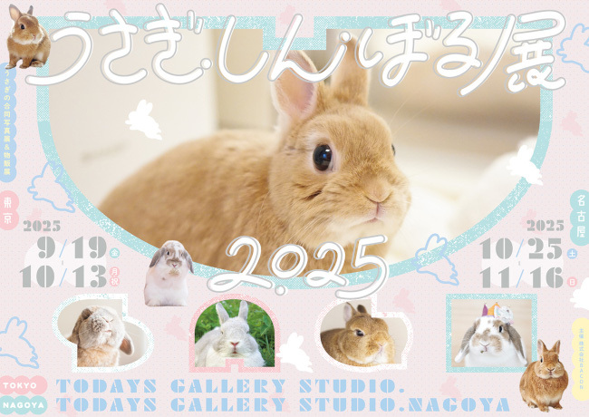 癒される！東京・浅草橋で「うさぎしんぼる展 2025」を開催（BCN