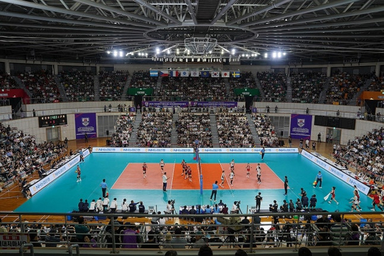 バレーボール韓日戦「不公正判定」議論、韓国スポーツ倫理センターが調査に着手