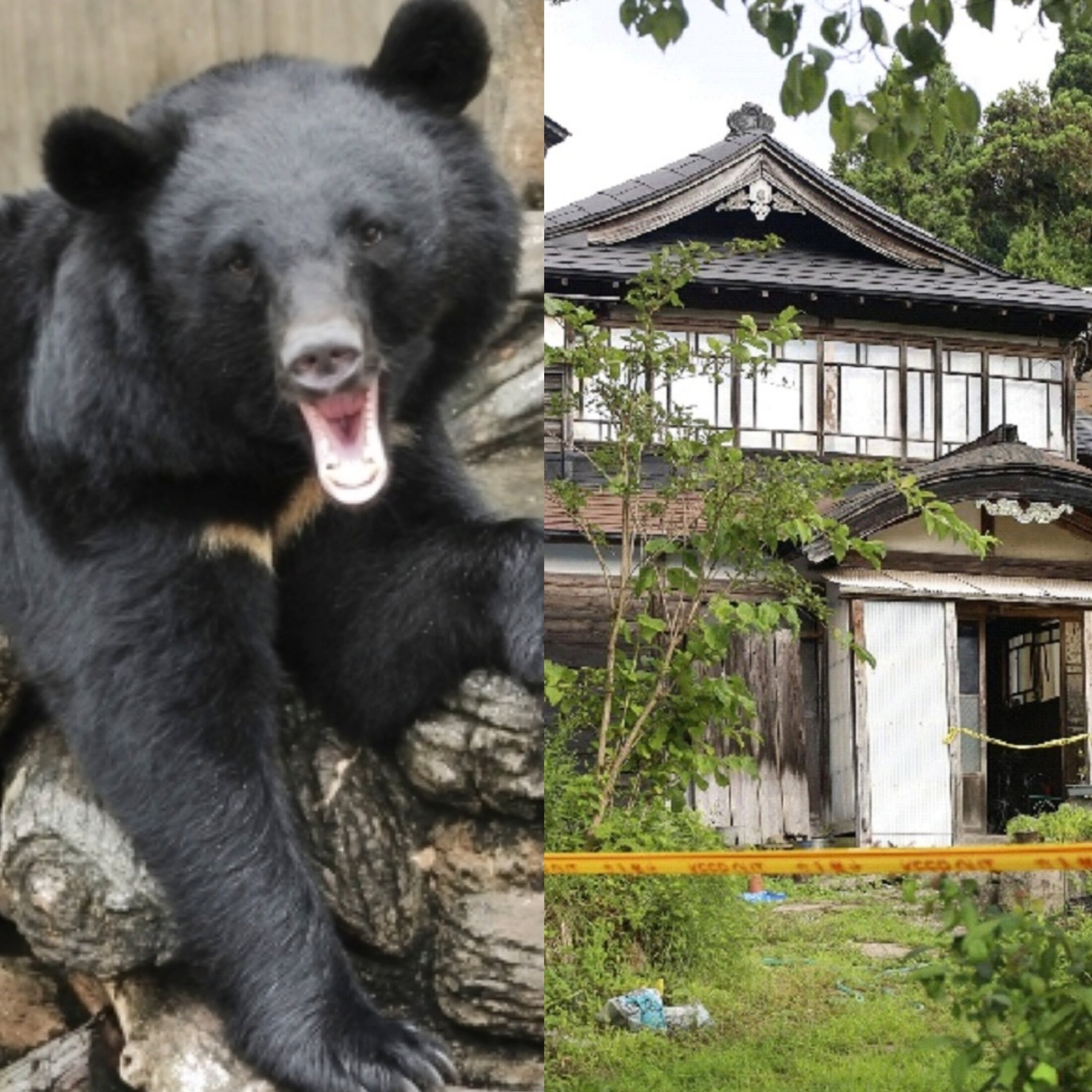 秋田県大仙市で発生した殺害事件の現場周辺