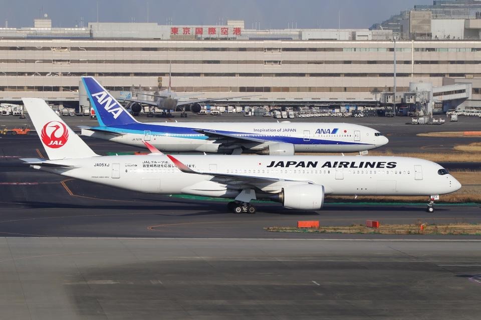 JALとANAの旅客機。日本の主要航空会社が国内線事業で直面する構造的課題と政府支援の必要性を示唆する