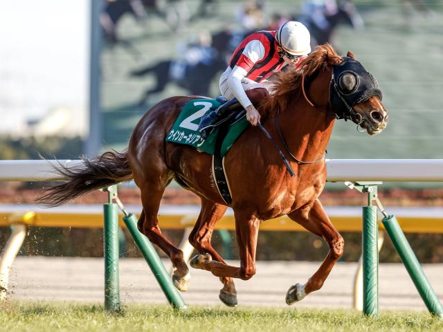 当選品】札幌競馬場　キーンランドカップ　レプリカゼッケン　シナモンスティック 当選品】札幌競馬場キーンランドカップレプリカゼッケンシナモン