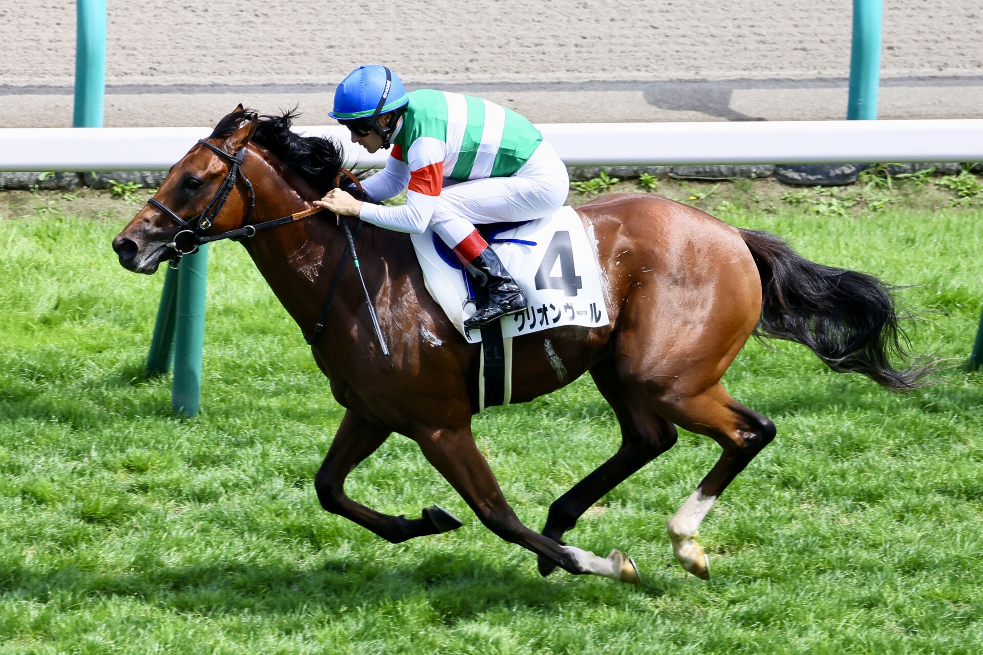 【期限切れ単勝馬券】　2歳新馬　ゴールドアリュール 期限切れ単勝馬券】 2歳新馬 スティルインラブ ウマ娘 - メルカリ