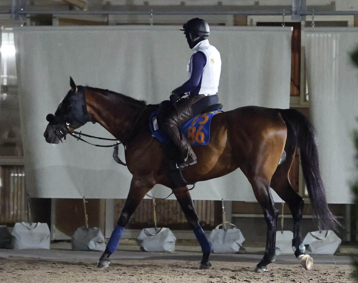 土曜新潟競馬場の注目激走馬…新潟11R・BSN賞（L）（馬