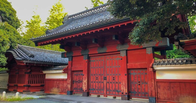 学業に励む学生の様子。東大生の学歴格差問題に関連