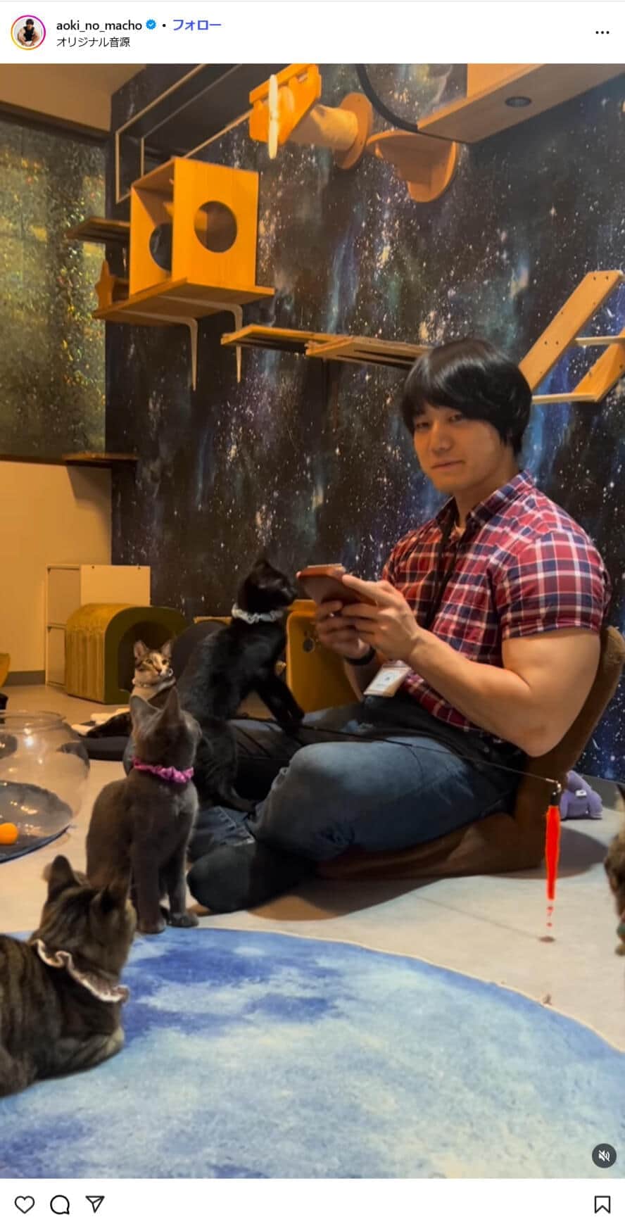 青木マッチョ宅に有村架純が訪問、SNSで話題