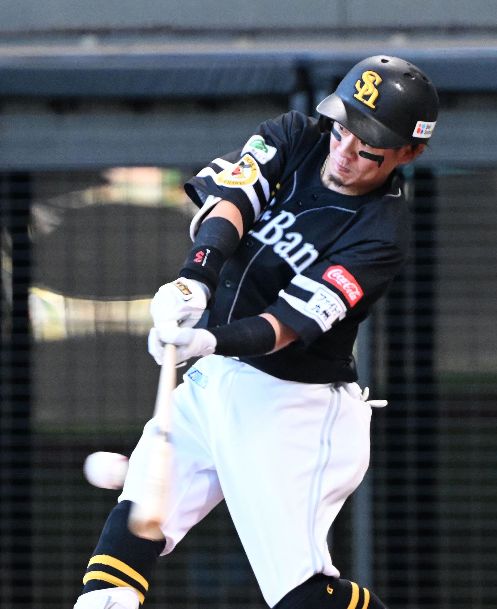 ソフトバンクホークス　牧原大成選手　値下げ 8 牧原 大成 選手名鑑2023 | 福岡ソフトバンクホークス