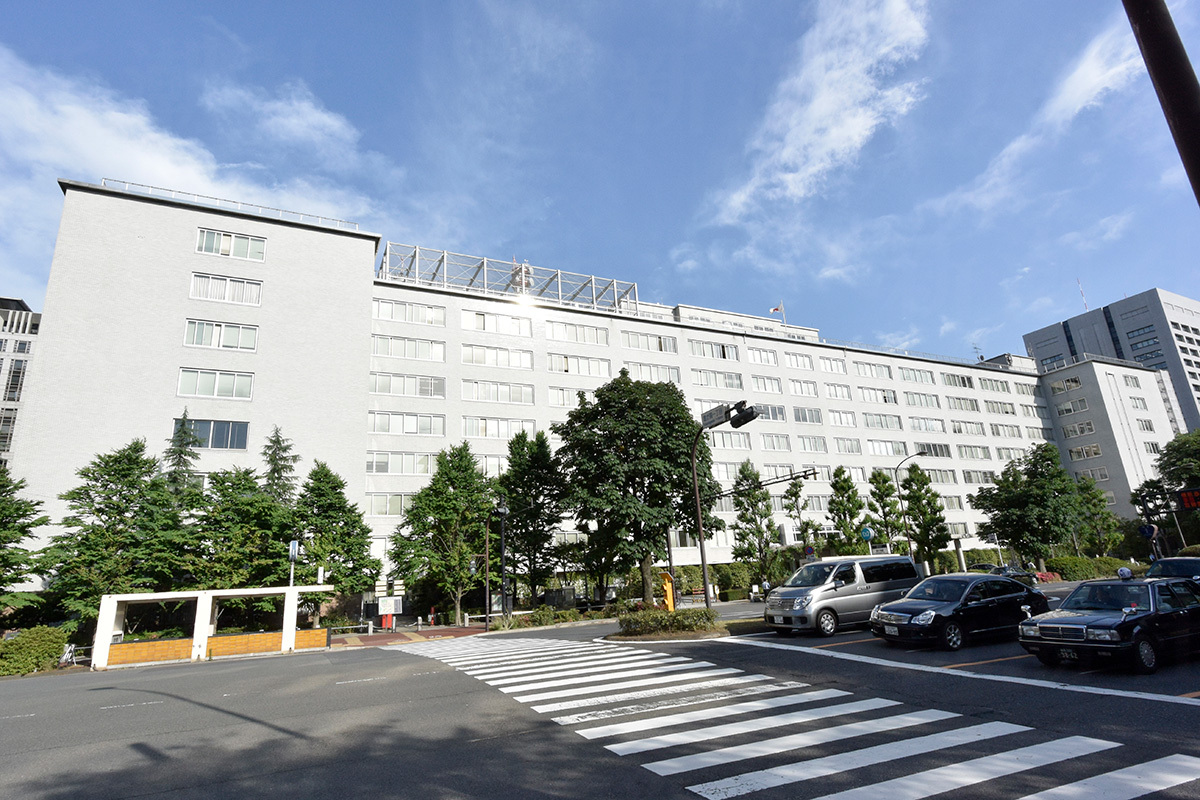 農水省が管理する備蓄米袋に害獣の侵入跡が残る様子