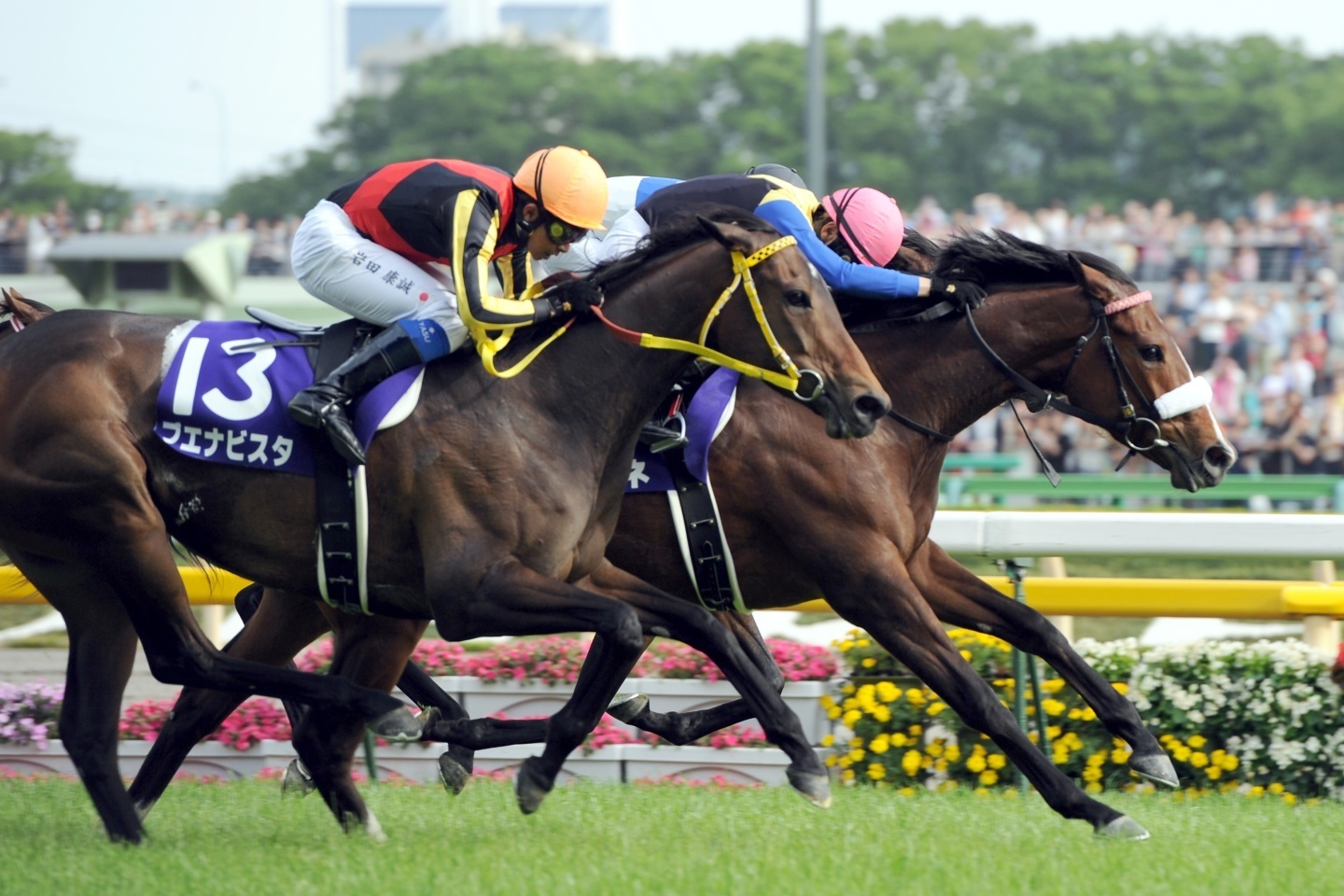 【アパパネ】全G1的中馬券セット(牝馬三冠馬券含む／全現地馬券) 7_sanrentan.png