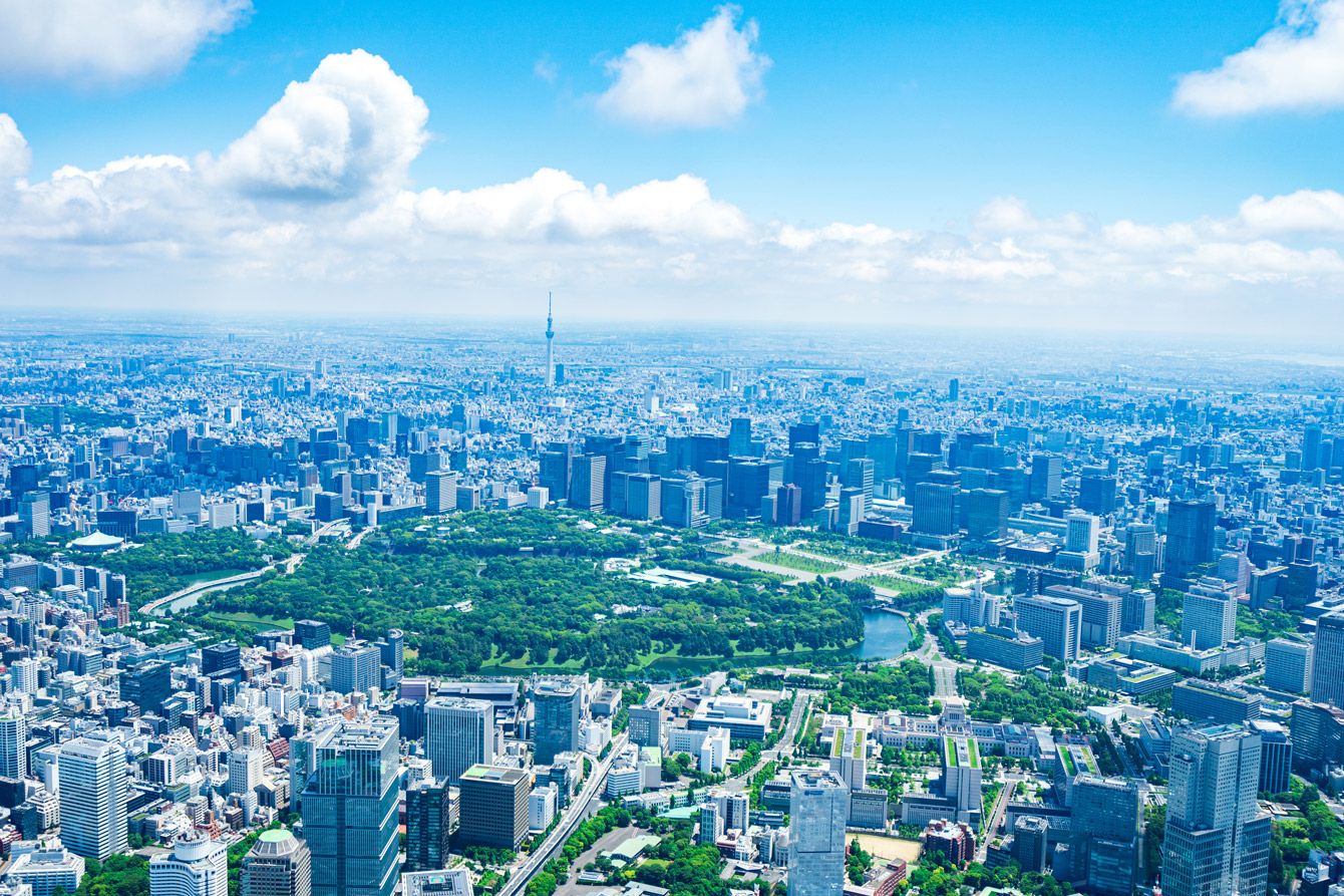 東京都心の高層マンション群を望む景観：価格高騰と転売問題の象徴