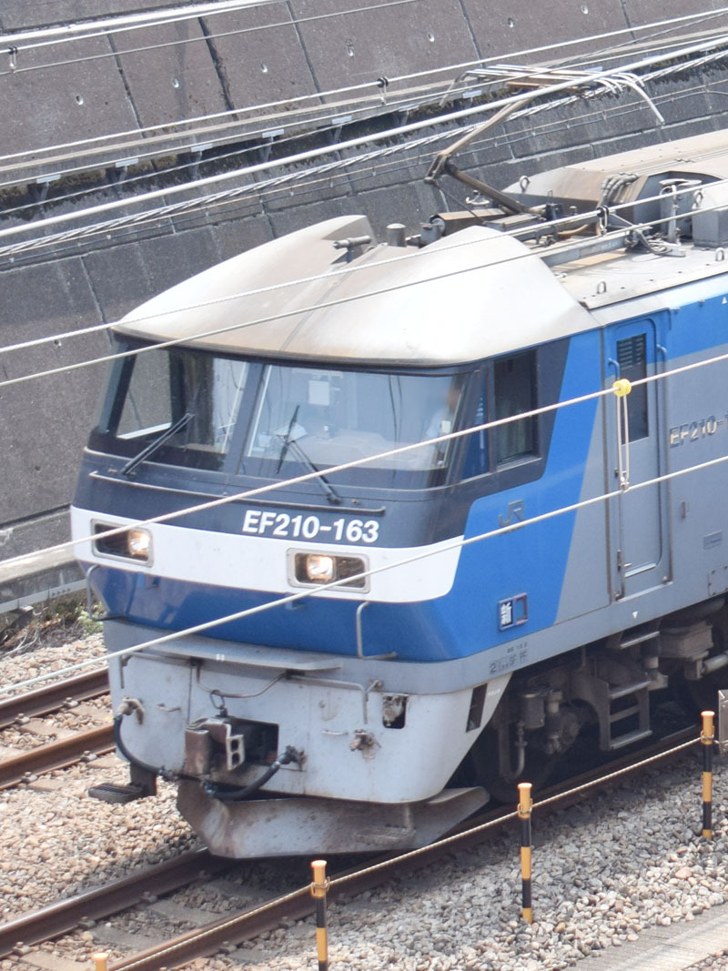 JR高崎線、運転を見合わせ…深夜に貨物列車がシカと衝突 係員が