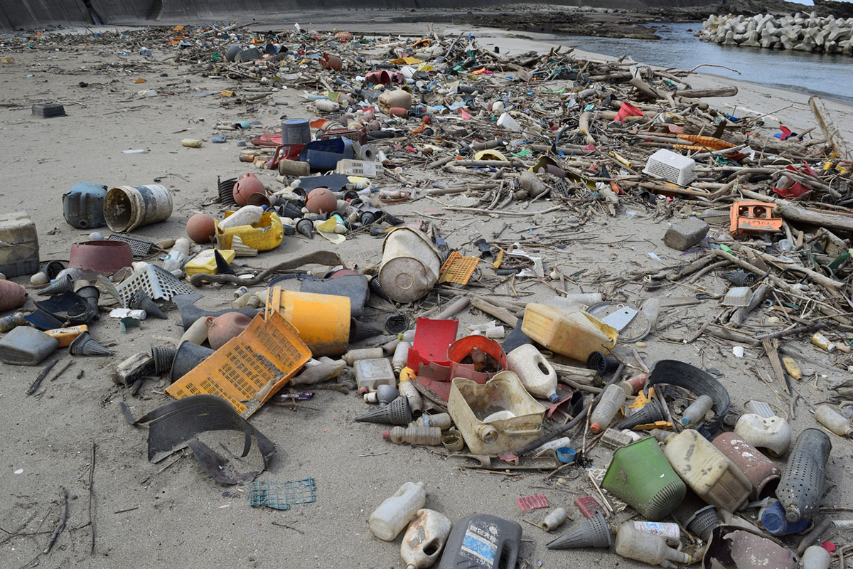 マイクロプラスチック汚染と国際的なプラスチック条約策定に向けた議論の様子