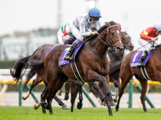【ドウデュース】イクイノックス　引退馬券※ドウデュースも出走してます！ イクイノックス、ドウデュースが「世界のベストホース」にランク