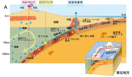 北海道から関東の沖合に新たな地震帯、東北大などがAIを用いて発見(Science Portal)