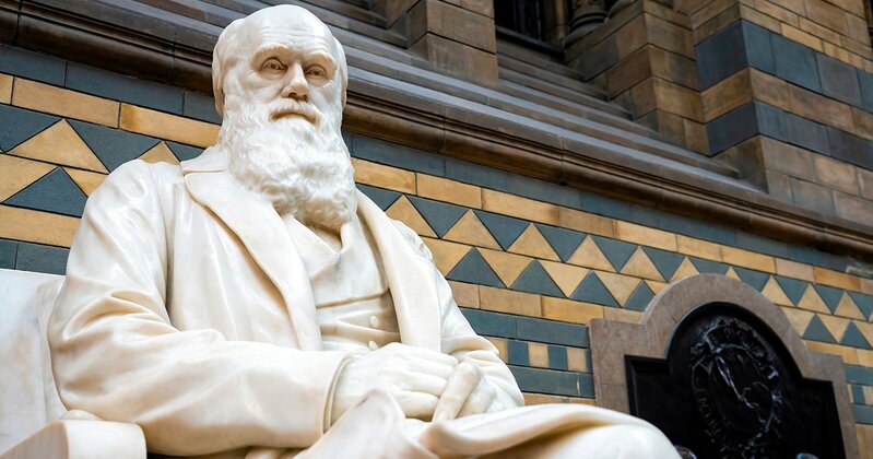チャールズ・ダーウィンの進化論と『種の起源』の概念を象徴するイメージ画像