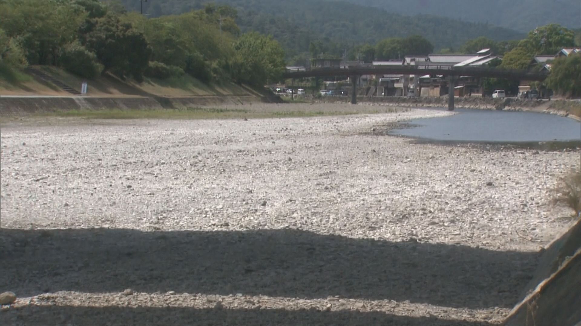 伊勢神宮近くの五十鈴川で川底が露出し、水量が大幅に減少している様子。