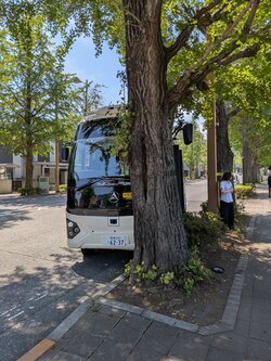 自動運転バスが歩道に乗り上げ、街路樹に衝突した事故現場の様子