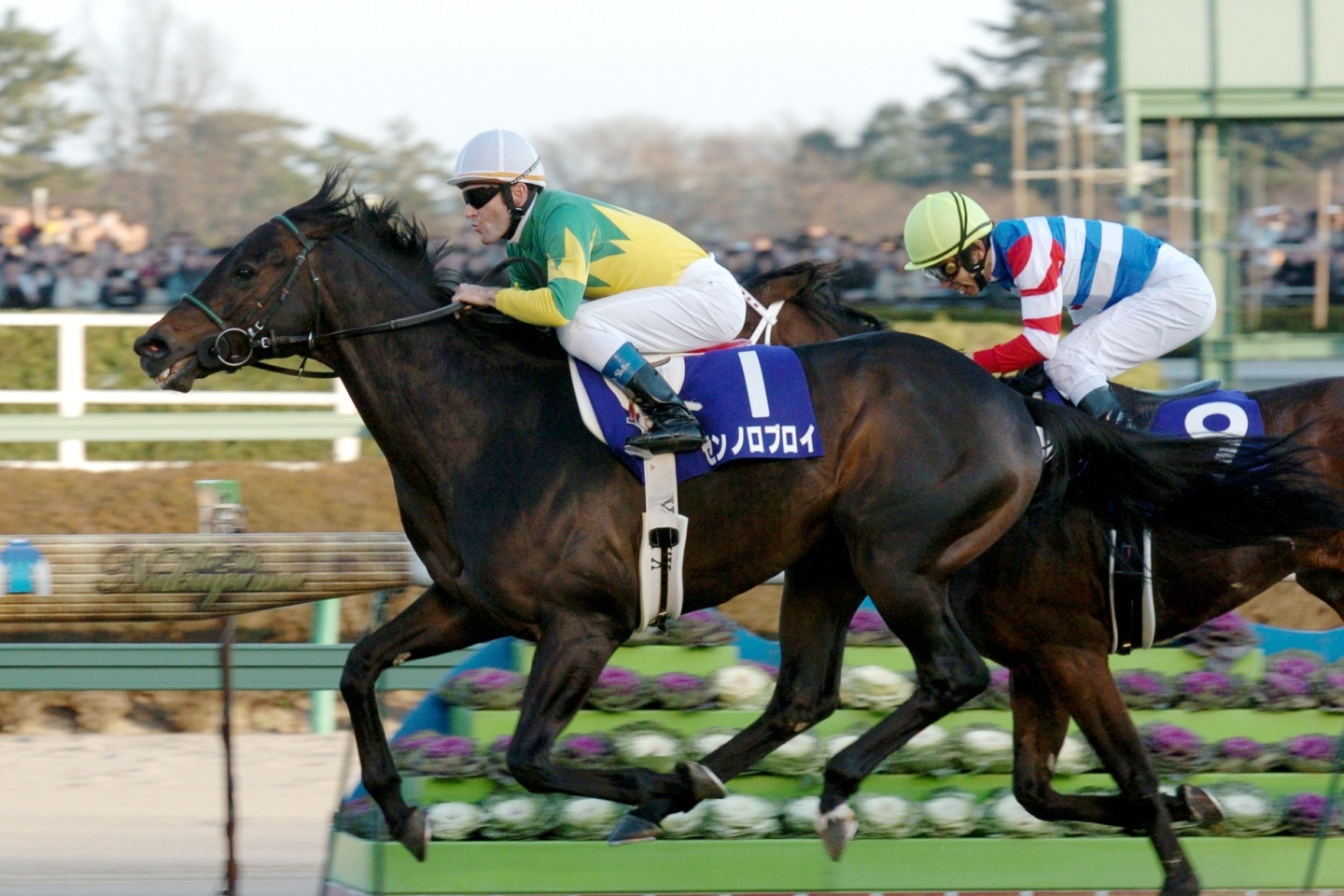◆　競馬　JRA　◆　ゼンノロブロイ　◆　有馬記念　◆　数量限定優勝シャツ　◆ 名馬列伝】史上2頭目の偉業を成し遂げたゼンノロブロイ 挫折に