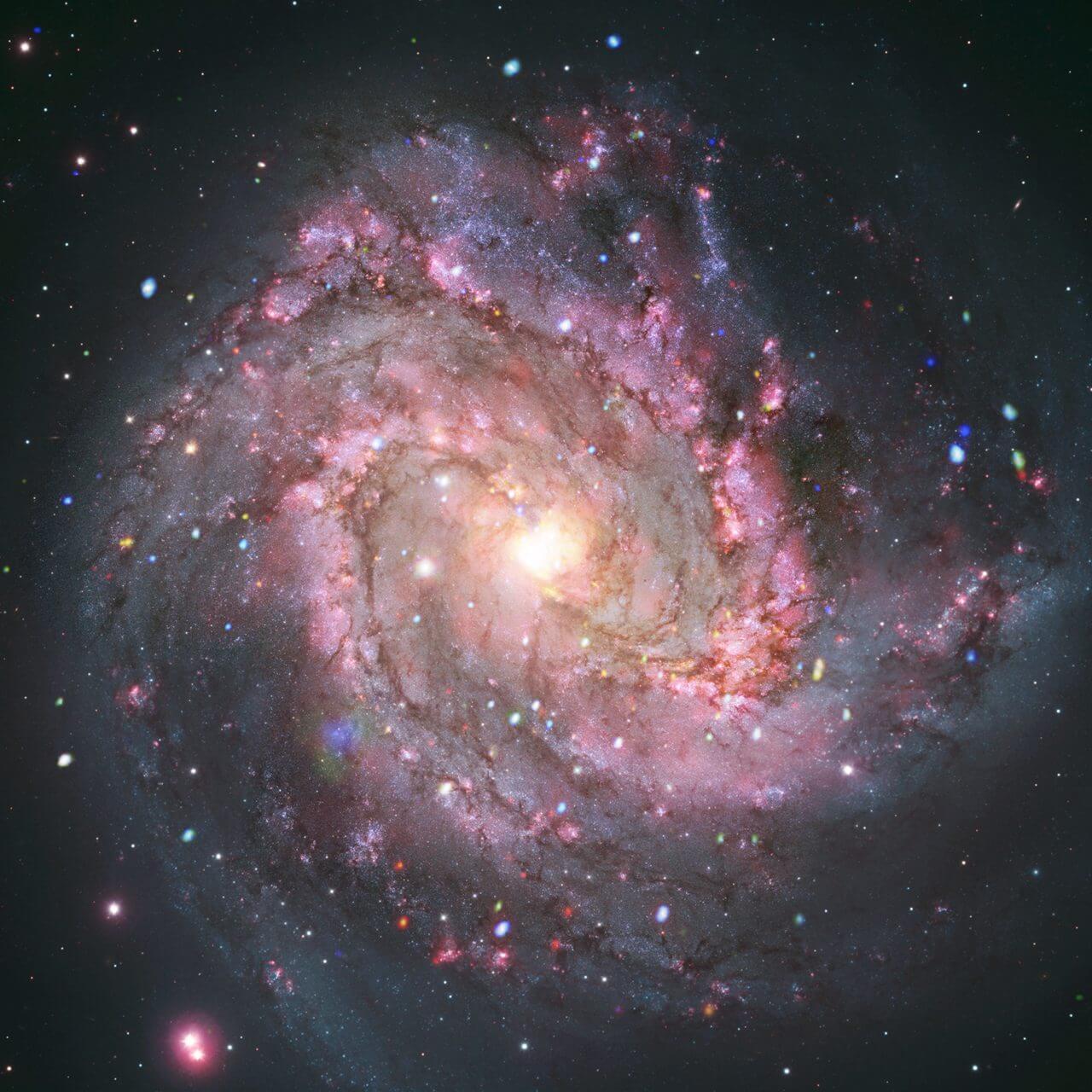 天空の花 チャンドラX線宇宙望遠鏡ほかが観測した“南の回転花火銀河”こと