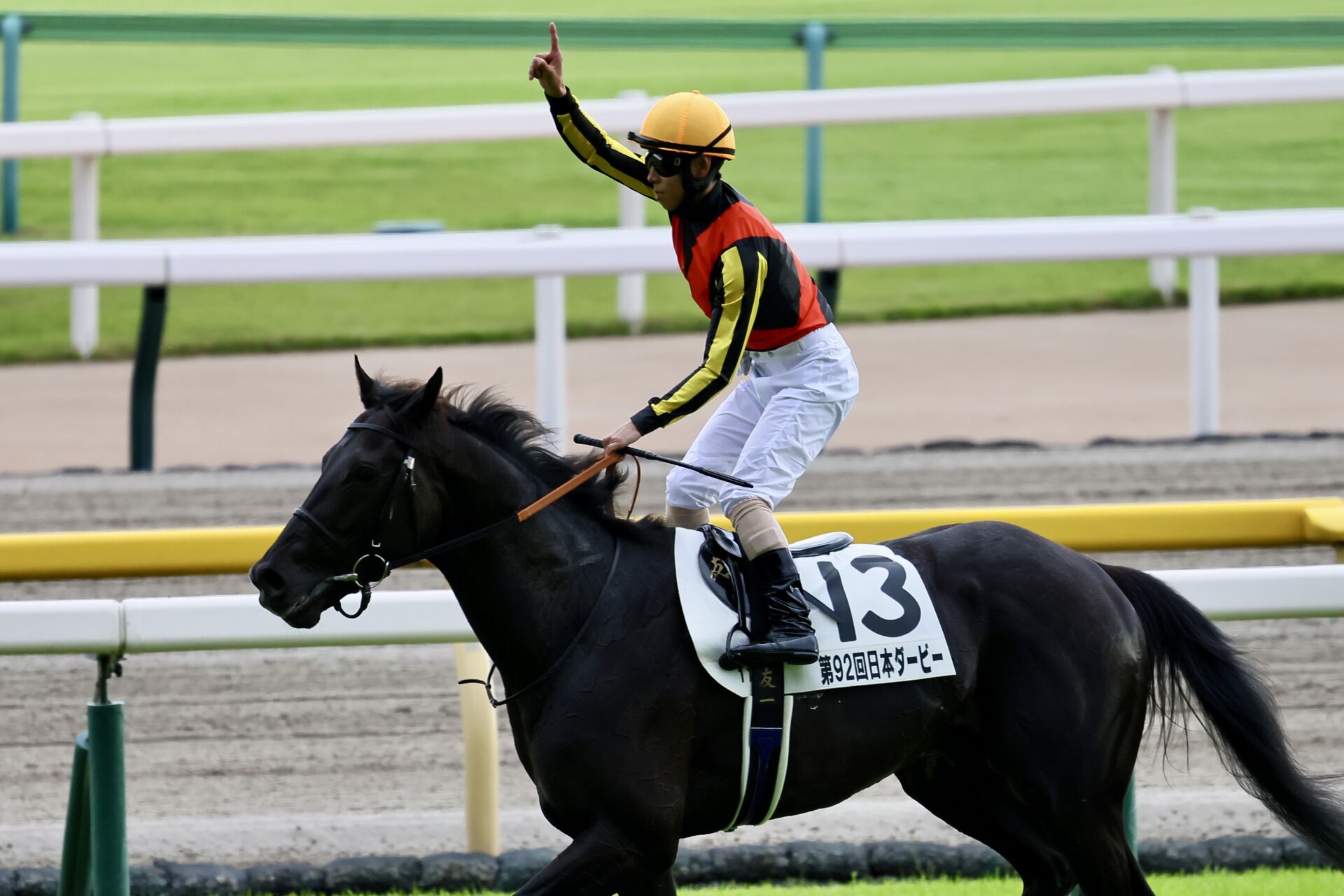 凱旋門賞】クロワデュノール＆ビザンチンドリームが仏到着