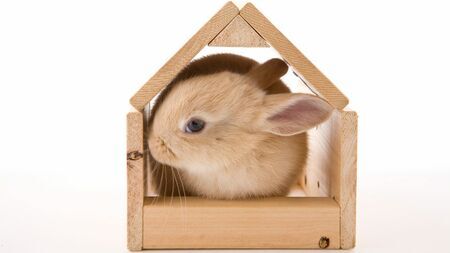 日本の住宅の狭さを象徴する「うさぎ小屋」が令和に再評価される可能性