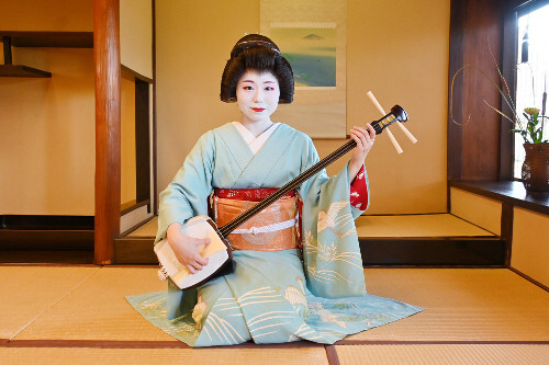 京都市東山区「美の八重」で、元公務員から芸妓に転身した小惠美さん