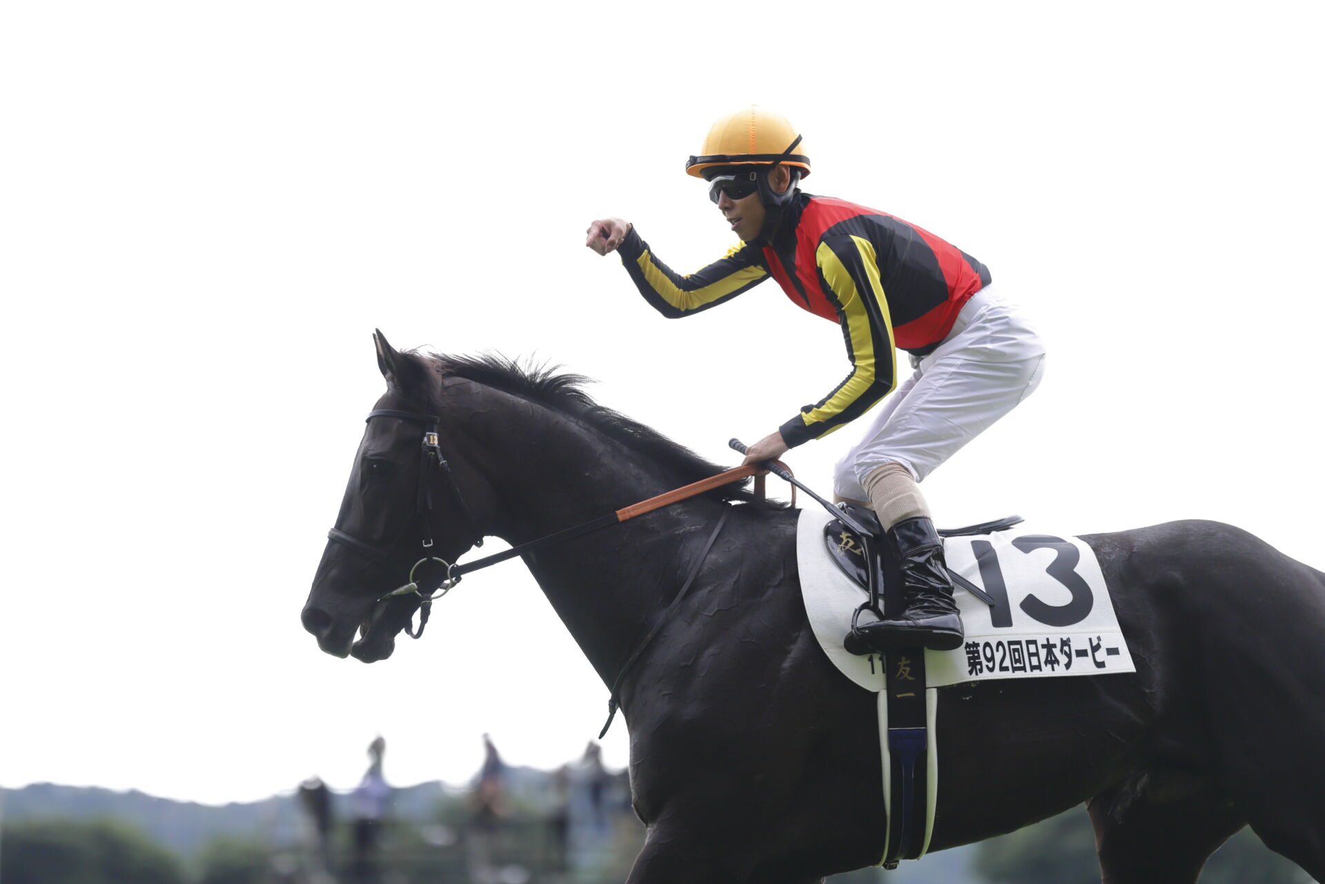 凱旋門賞の歴史 全３巻 ダービー 発行 競馬国際交流協会 4冊セット＋おまけ 20250902-00120224-keibana-000-