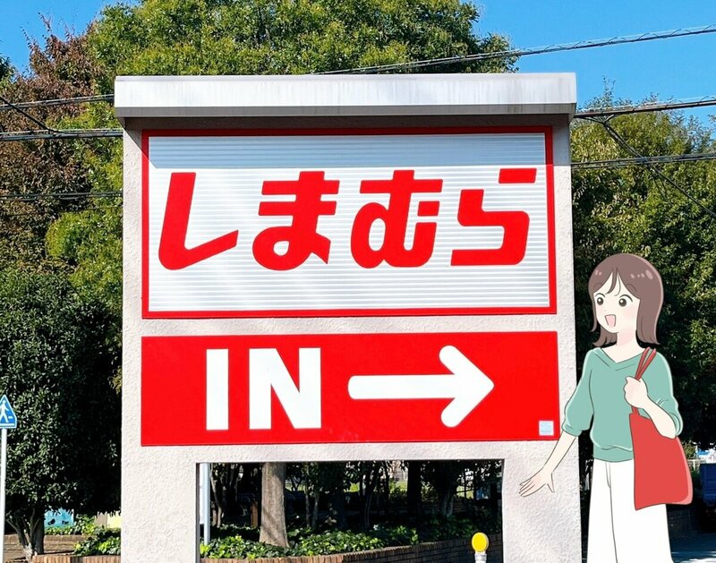 しまむら「バックプリーツブラウス（陽）」の全身コーディネート例。ブラウンのチェック柄が秋らしく高見えするデザイン。