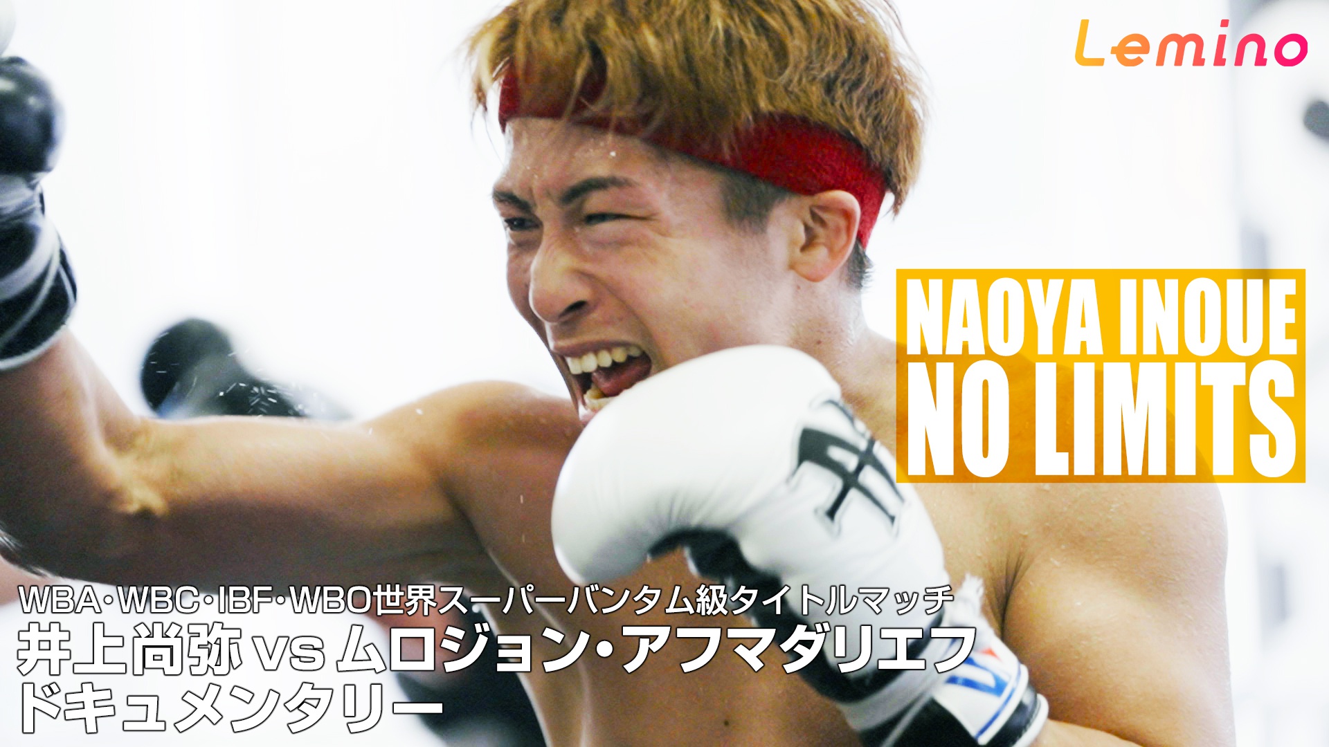 モンスター”井上尚弥選手「引退するまで自分自身のプライドの