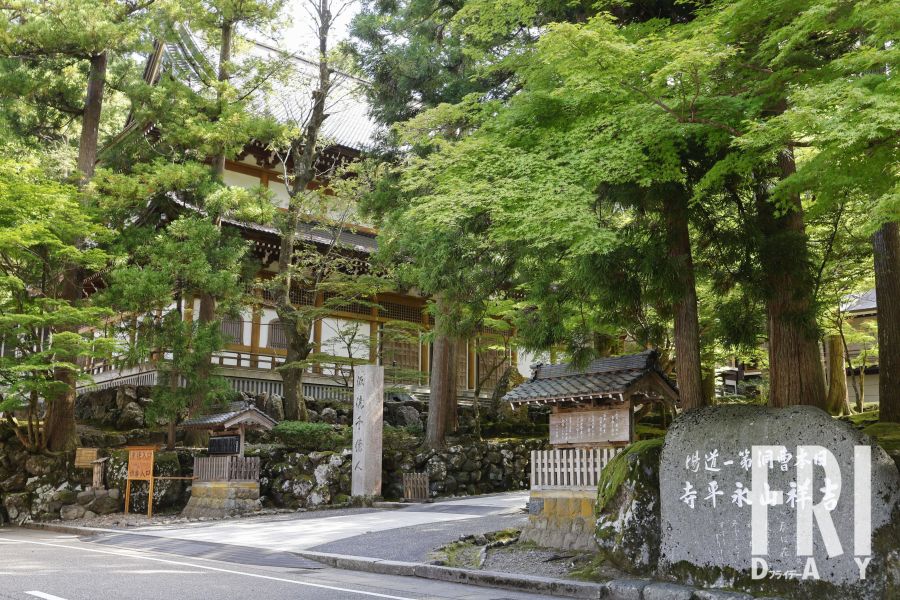 女子高生へのわいせつ行為が発覚し、不祥事が報じられた永平寺の参道。