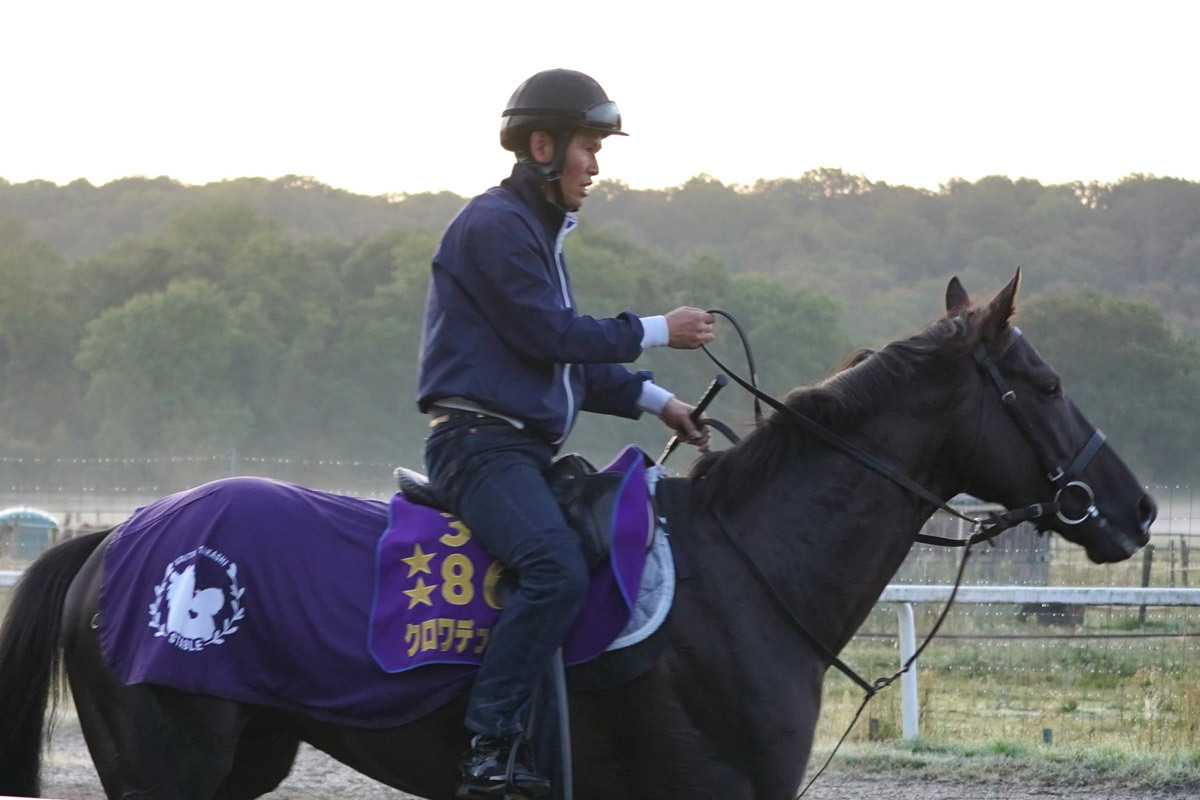 クロワデュノール グラフィカルパーカー L 競馬 クロワデュノール グラフィカルパーカー（黒/Black