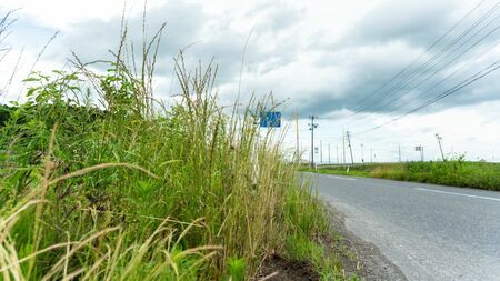 島根県奥出雲町の山沿いの道路で記憶喪失の男性が発見された場所のイメージ